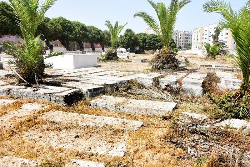 maroc sale cimetiere juif tombes ZBL 4828 (6)
